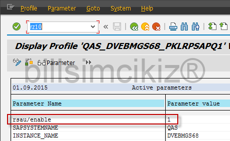 http://www.sapbasisforbeginner.com/